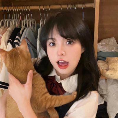 飞鹰人